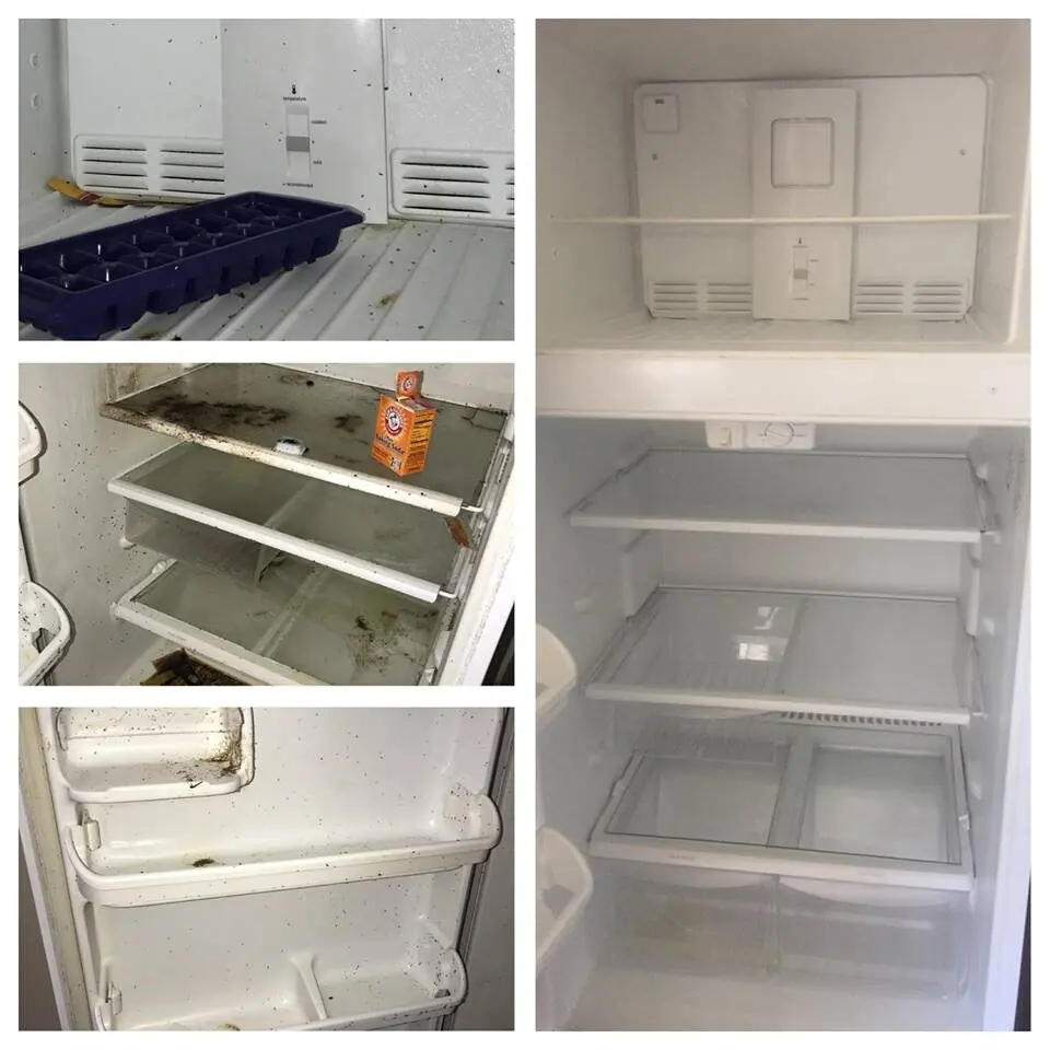Refrigerator interior: grime and spills before, fully spotless after, cleaned by Orchid